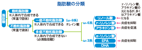 脂肪酸の分類