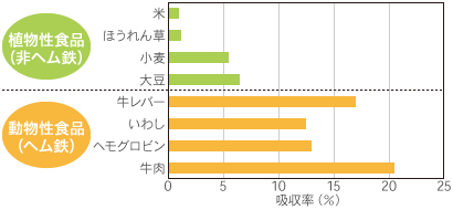 各食品中の鉄吸収率（図）