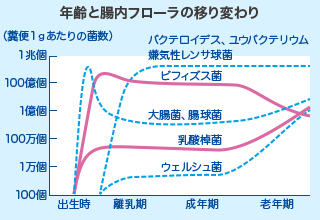 年齢と腸内フローラの移り変わり 