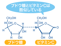 ブドウ糖とビタミンCは酷似している