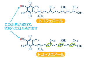 トコフェロールとトコトリエノールの化学構造