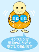 亜鉛 栄養素の説明 栄養療法 薬だけに頼らない根本治療をめざす 心と身体に優しい治療法 オーソモレキュラー栄養医学研究所