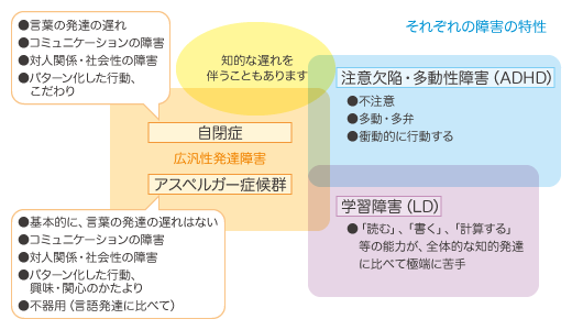 は アスペルガー と アスペルガー症候群の特徴と症状